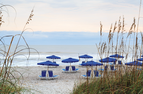 Amelia Island 